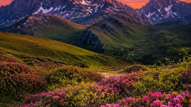 Capturing Nature's Beauty: Stunning Wallpaper Inspirations | cara belajar main kartu remi, download 