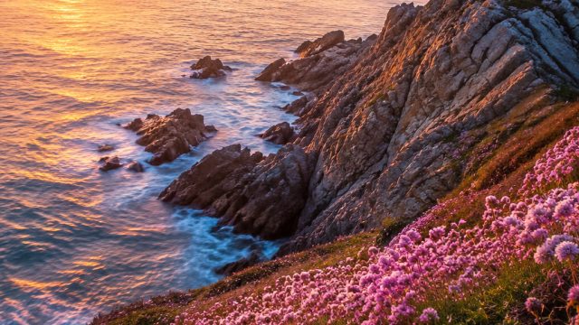 Captivating Wallpaper Gallery: Embrace Vibrant Themes for Your Screens | slotmegawin, game gaple 99