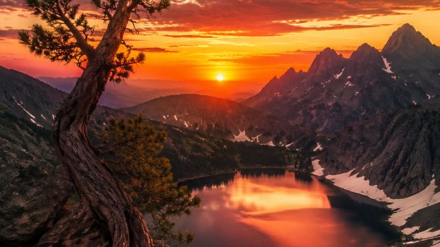Epic Photography of Nature's Resilience: A Visual Journey | voucher88 gratis 2021, slot deposit puls