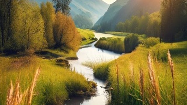 Capturing the Essence of Nature: The Best Nature Photography Wallpaper | championship predictions pr