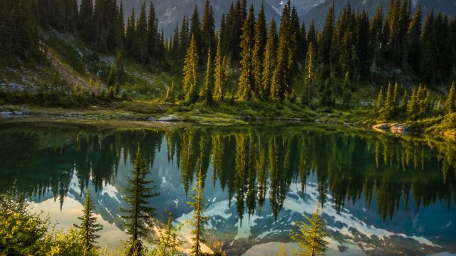 Captivating Nature Wallpapers for a Refreshing Digital Escape | gacor win 138 slot, situs judi slot 