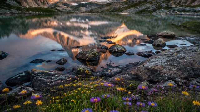Transformative Aesthetics: Nature's Beauty in Stunning Wallpapers | raja 328slot, prediksi sgp hari 