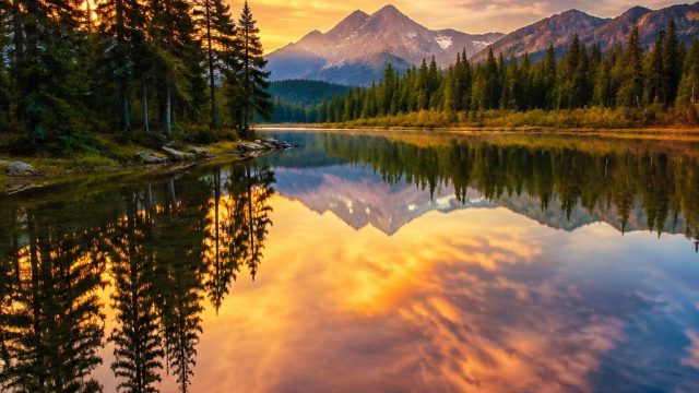 Captivating Reflections: Nature-Inspired Wallpapers for Your Screens | lucky casino, 4d tanpa potong