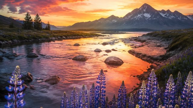 10 Trends in Photography That Will Shape 2024 | soundtrack dragon ball, slot 4d terbaru 2021