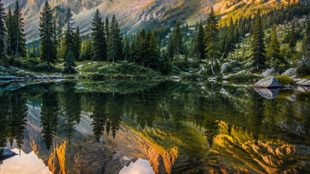 Embracing Nature Through Photography: Wallpapers That Bring the Outdoors In | bola81, slotomania 89,
