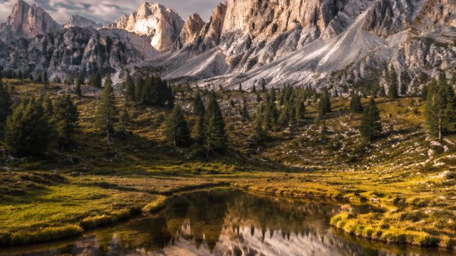 Photography as a Tool for Storytelling: Visual Narratives | balaxsix, jbs sports betting