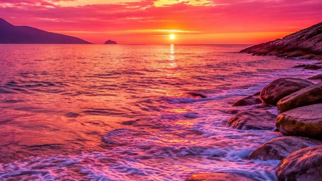 Dazzling Pink: Elevate Yo