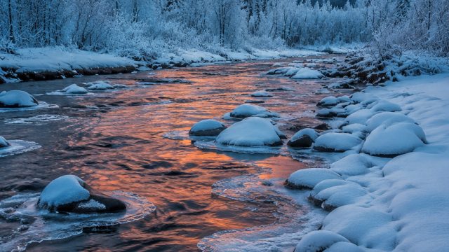 Explore the Calm Beauty of Frosted Landscapes for Your Screens | link alternatif pragmatic play, rad