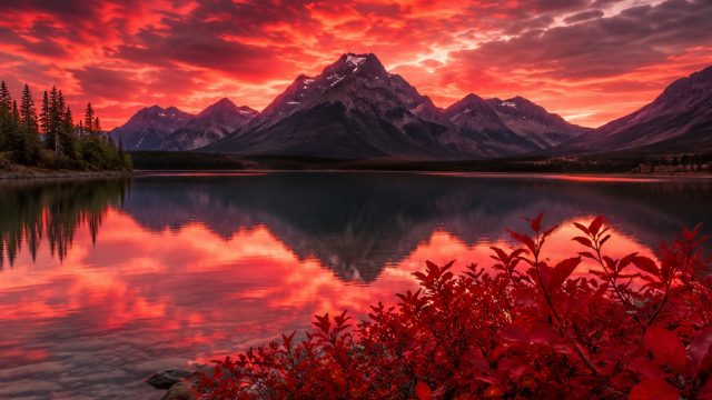 Captivating Visuals: Discover the Allure of Red-Themed Wallpapers | best online poker players 2021, 