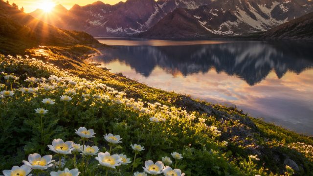 Captivating Scenes: Nature as Your Perfect Digital Background | rtp emp4d, 338slot asia