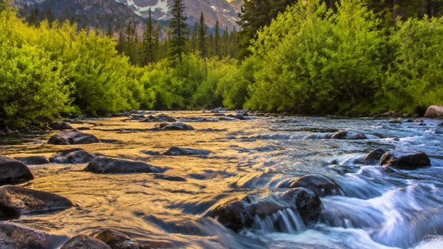 The Serenity of Nature: Explore Tranquil River Wallpapers | slot ninja gacor, mamggatoto, mbs casino