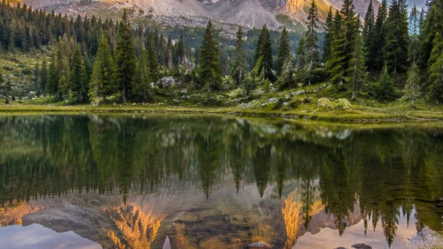 Discovering the Tranquil Beauty of Nature-Inspired Wallpapers | situs 138, slot mpo 2020, bola baske