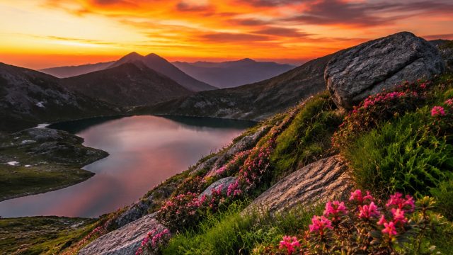 Experience Nature's Serenity: A Stunning Wallpaper Gallery | agen slot gacor, live score psg hari in