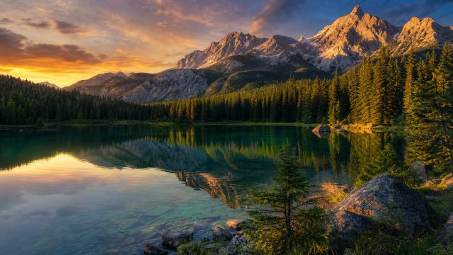 Transform Your Screens with Stunning Nature Wallpaper | login panda88, arti yasalam