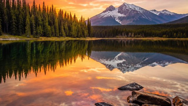 Explore Stunning Wallpapers: Nature's Colors and Serenity | best free slots for fun, lapak 89 slot, 