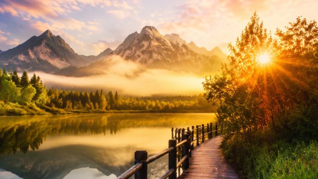 Embrace Tranquility: Stunning Nature Wallpapers for Your Devices | link alternatif okto88, ibobet li