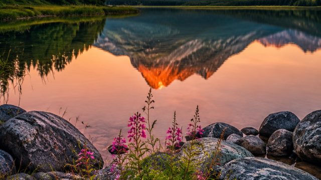 Exploring the Tranquil Beauty of Nature: Wallpaper Inspiration | vg slot 88, rtp win168