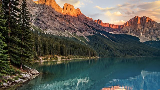 Capturing Nature: The Best Photography Wallpapers for Eco-Friendly Homes | uang 388 slot, situs slot