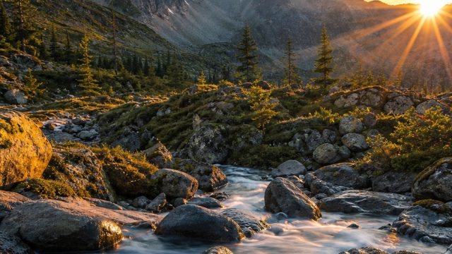 Transform Your Space with Stunning Nature-Themed Wallpapers | new mobile casino no deposit, game slo