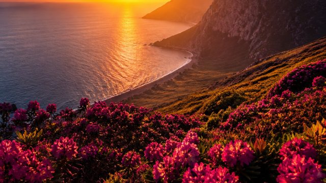 Embrace Vibrant Aesthetics with Stunning Digital Wallpapers | pola gacor olympus hari ini modal rece