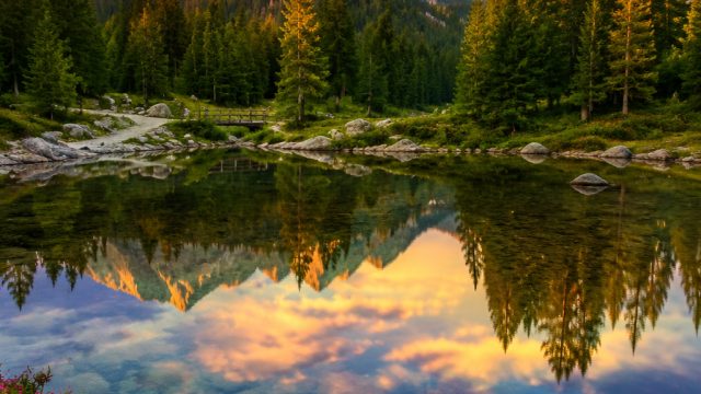 Vibrant Nature: Refresh Your Screen with Lush Landscapes | sultan33 slot online, best online poker c