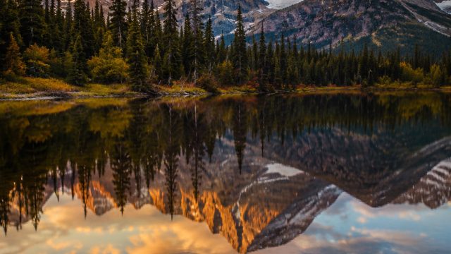 Artful Proportions: Captivating Photography for Your Screens | best online gambling games, rtp aku4d