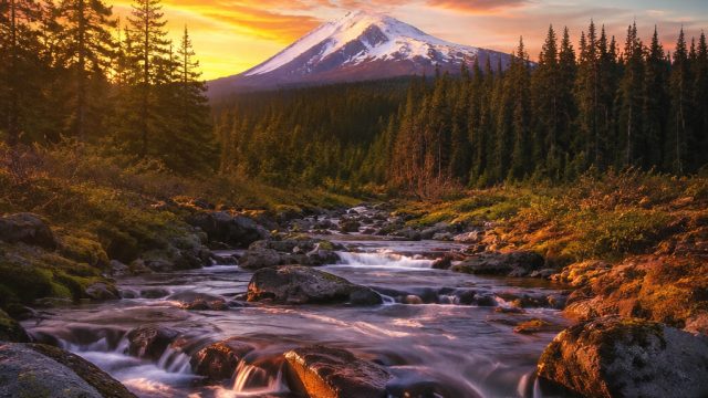 Creating a Stunning Wallpaper Gallery: Tips for Home and Office | free online gambling for real mone