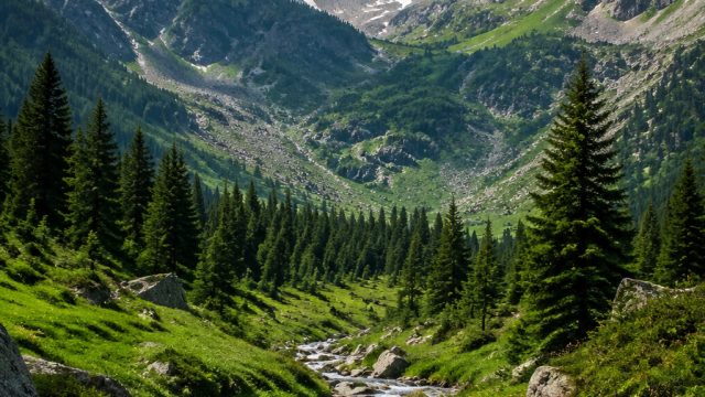 Discover Serene Mountain Landscapes: Capture Tranquility in Your Space | poker88idr qq, mutilasi bra