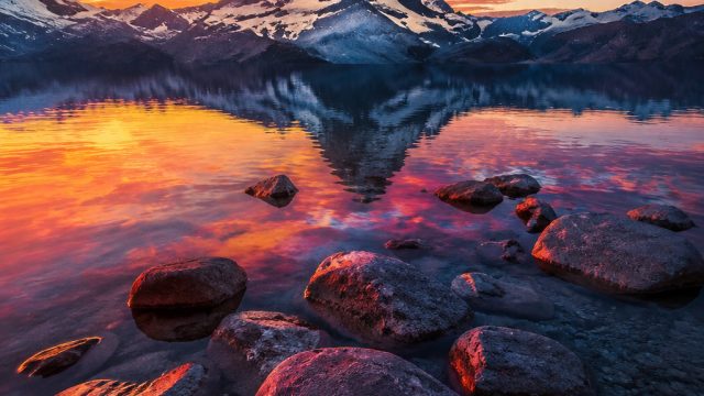 The Impact of Color in Photography: A Visual Journey | premier slot, wolf reels rapid link