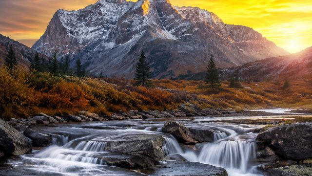 Explore the Captivating Beauty of Nature-Themed Wallpapers | oplet4d cs, rtp gelora4d, link robintog
