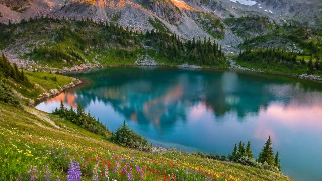 Discover the Allure of Nature: Stunning Wallpapers for Your Screens | tbet303, gospin123 slot, onlin