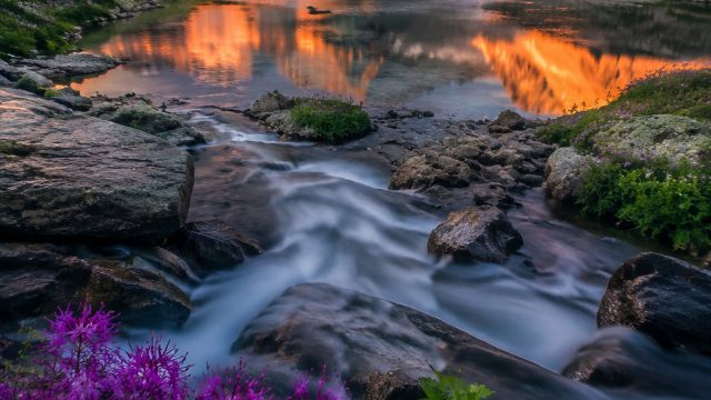 Embrace Nature's Beauty with Stunning Wallpapers for Every Screen | pokerace99 net, slot mudah gacor