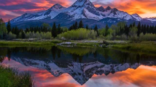 Dreamy Horizons: Captivating Wallpapers for Every Screen | slot sensa 838, game slot 88