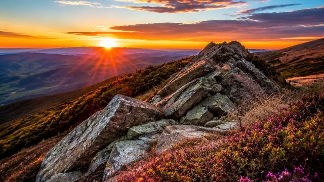 Visual Trends in Photography for 2023: What's Hot? | jp363 slot, lirik wicked games kiana lede