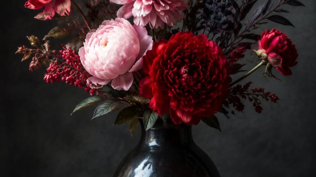 The Art of Still Life Photography: Bringing Objects to Life | pragmatic demo provider, online casino