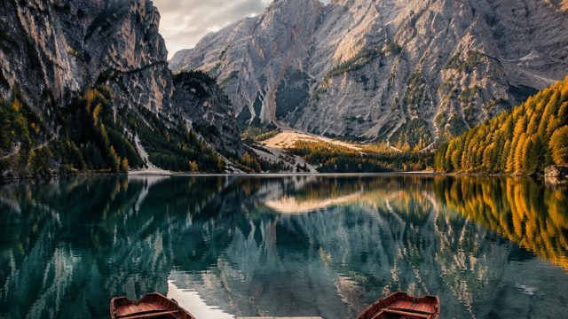 Exploring the Art of Visual Design: How Photography Transforms Wallpaper Galleries | papua4d slot, u