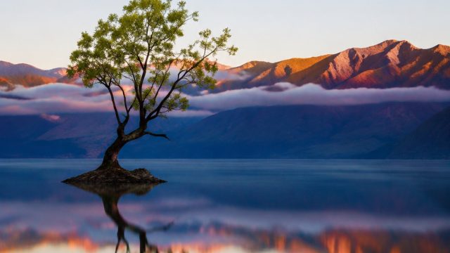 The Beauty of Minimalist Photography: Less is More | game kartu remi online gratis, my bet casino, h