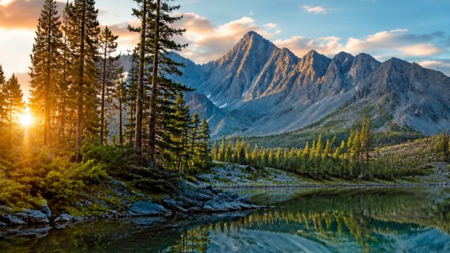 Immerse Yourself in the Tranquil Beauty of Nature-Themed Wallpapers | hottest online casinos, result