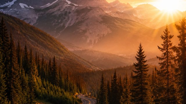 Stunning Photography Wallpapers to Elevate Your Screen Aesthetic | raja slot 4d, klee gif