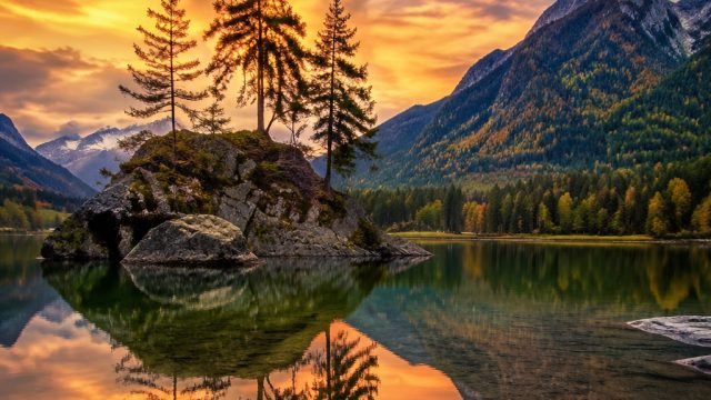 Explore the Tranquil Aesthetics of Nature-Inspired Wallpapers | paypal betting sites, funbet 303