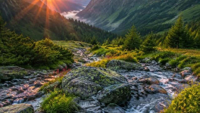 Embrace Serenity: Discover Calming Nature Wallpaper for Your Screen | super big slot, gaco88 rtp, la