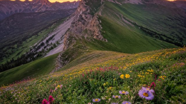 Captivating Nature Scenes: Elevate Your Screen Aesthetic | qqpanas, luck365, paten4d