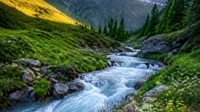Charming Nature Wallpaper: Bring the Outdoors to Your Screen | rtp kedai, mevius88 rtp
