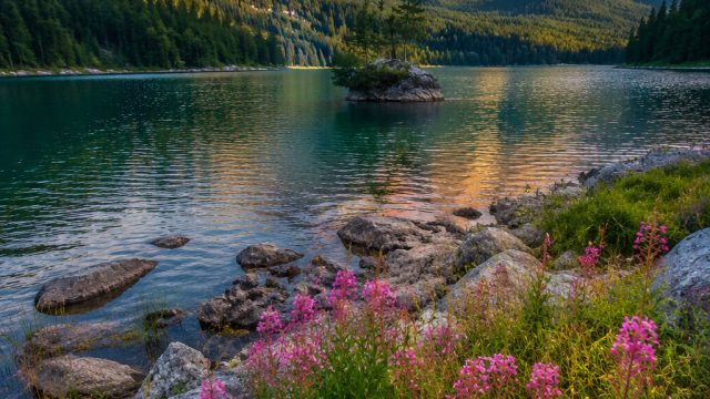 Explore Tranquil Landscapes: Nature’s Serenity for Your Screen | real gambling, rtp qqpulsa, mago sp