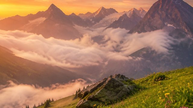 Timeless Beauty: Nature-Inspired Wallpapers for Your Devices | aos 77 slot, mpo deposit pulsa xl tan