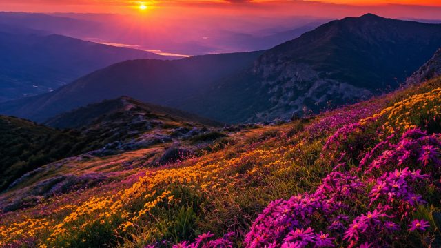 Wallpaper Wonders: Transforming Spaces with Stunning Images | batman games online, casino online ter