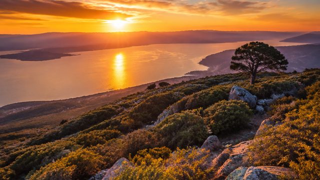 Captivating Visuals: Explore Our Unique Wallpaper Gallery | zet slot login, download apk dewa poker 