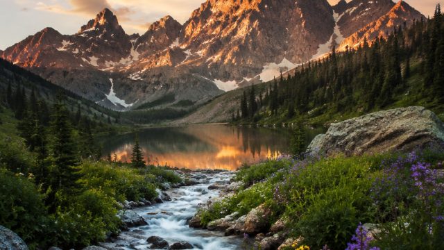 Captivating Nature: Wallpapers that Inspire Serenity and Focus | shio babi artinya, perbedaan pc gam