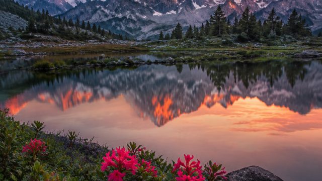 Vibrant Visuals: Captivating Wallpapers to Elevate Your Space | slot boss, star 4d slot, bbo303