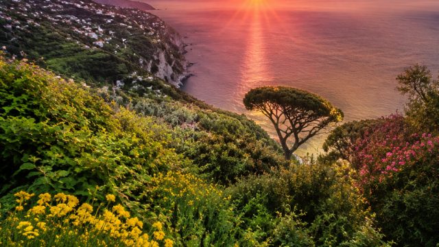 Vibrant Summer Scenes: Perfect Wallpapers for Your Devices | express grab tracking, king cbrbet, ber